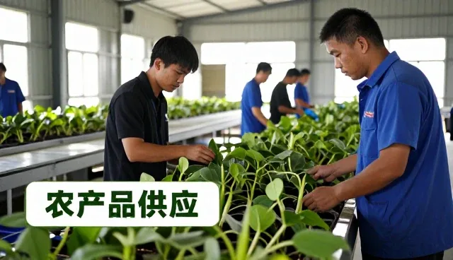 农业技术数字化发展与农产品供应应用分析