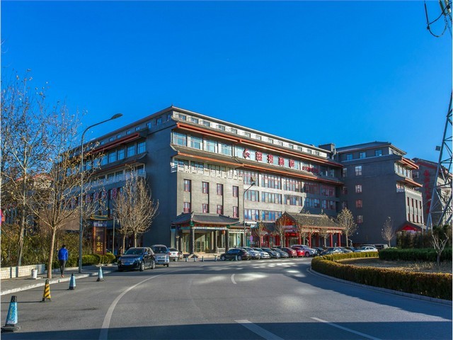 北京艾伦瓦娜龙鱼价格表